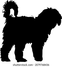 Cockapoo Silhouettes SVG Cocker Spaniel SVG