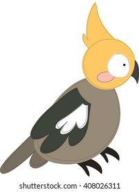 Cockatiel