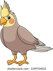 Cockatiel Animal Cartoon Colored Clipart 