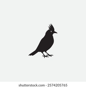 Cockatiel animals with a black outline on it vector graphic
