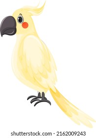 Cockatiel bird in cartoon style illustration