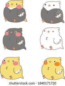 cockatiel bird cute animal vector