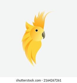 Cockatiel Bird with feather Vector Illustration Yellow Colorful Bird Isolated for Icon, Art, Logo and graphics