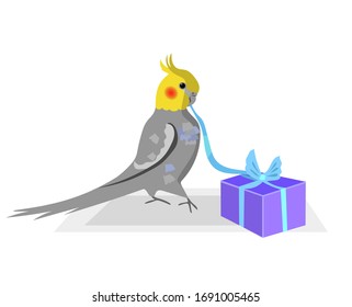 Cockatiel bird is giving a present