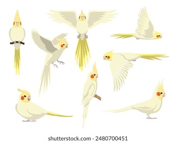 Pájaro Cockatiel Loro Lutino Varias Poses Caricatura Personaje de Vector