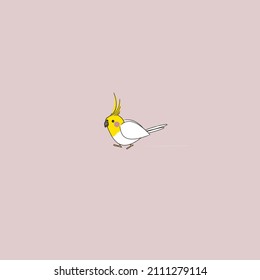 The Cockatiel Or Cockatiel Is A Bird That Belongs To The Order Psittaciformes And The Family Cacatuidae.