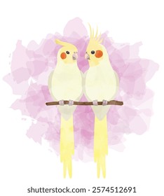 Cockatiel Bird Valentines Day Animal Symbol of Love Postcard Watercolor Vector Illustration