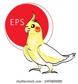 Cockatiel isolated vector illustration. Yellow Australian parrot