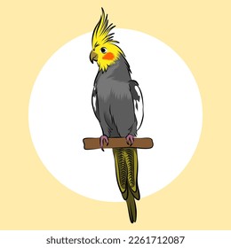 Cockatiel parkeet australia cartoon vector illustrated for your logo