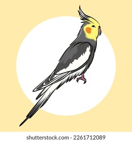 Cockatiel parkeet australia cartoon vector illustrated for your logo