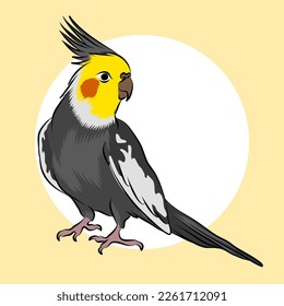 Cockatiel parkeet australia cartoon vector illustrated for your logo