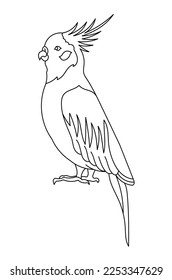 Cockatiel parrot bird. Editable outline stroke. Vector line illustration.