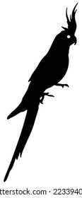 Cockatiel parrot bird logo icon silhouette - isolated vector illustration