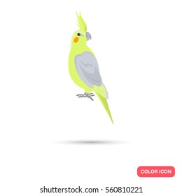 Cockatiel parrot color flat icon for web and mobile design