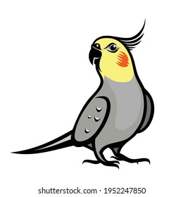 Cockatiel Parrot - Isolated Vector Illustration