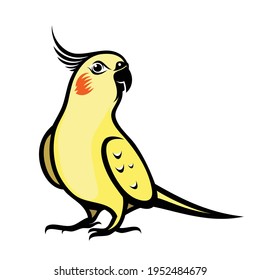 Cockatiel parrot - isolated vector illustration