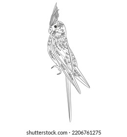 Cockatiel  parrot with ornaments  outline vector 
