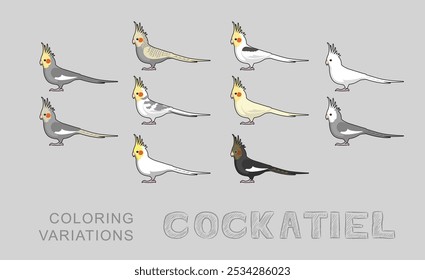 Cocktail Papagei sprechende Vögel Färbung Variationen Vektorgrafik