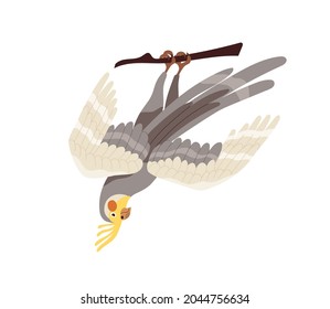 Cockatiel parrot with yellow crest, orange cheek patches and gray feathers. Tropical weiro bird with long tail hanging on tree branch. Australian birdie. Flat vector illustration isolated on white