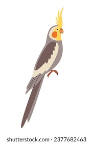 Cockatiel-Papagei mit gelbem Kissen und orangefarbenen Wangen-Pflastern. Tropischer Vogel mit langem Schwanz .Flache Vektorgrafik.