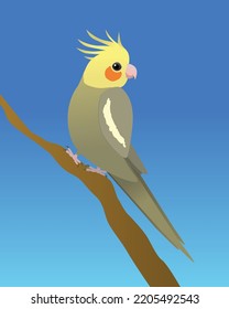 
A cockatiel perched on a branch. It's a grey male bird.  The background is blue.