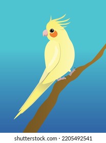 A cockatiel perched on a branch. It's a yellow bird.  The background is blue.