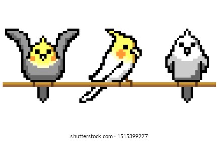 Cockatiel pixel art illustration set