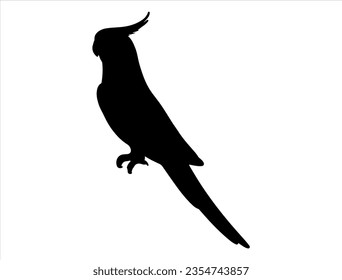 Silueta de Cockatiel arte vectorial fondo blanco