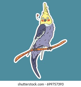 Cockatiel vector illustration