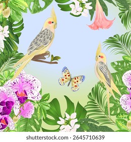 Cockatiels and butterfly with tropical plants watercolor vintage vector illustration editable hand drawing