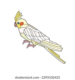 Cockatiel.Vector illustration isolated on white background.