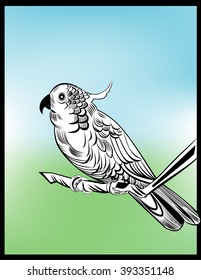 cockatoo ,
cockatoo,   All elements are in separate layers color can be changed easily 