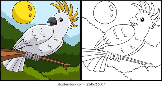 Ilustración coloreada en página de color de los animales de Cockatoo