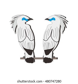 cockatoo animal vector 
