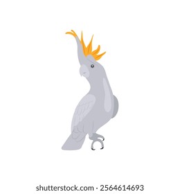 Cockatoo Australian Symbol Vector Illustration