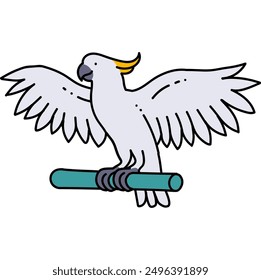 cockatoo bird animal pet hand drawn color vector illustration