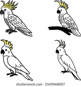 Cockatoo bird bundle line art and illustrator eps