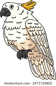 Cockatoo Bird Cartoon Colored Clipart Illustration