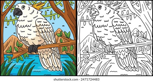 Cockatoo Bird Coloring Page Colored Illustration