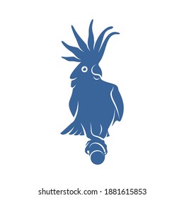 Cockatoo Bird design vector illustration, Creative Parrot Bird logo design concepts template, icon symbol
