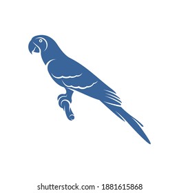 Cockatoo Bird design vector illustration, Creative Parrot Bird logo design concepts template, icon symbol