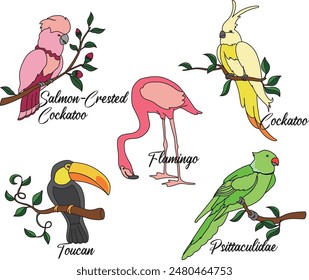 Cockatoo Bird and Flamingo, Toucan Illustration