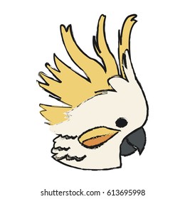 cockatoo bird icon