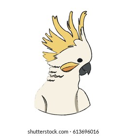 cockatoo bird icon