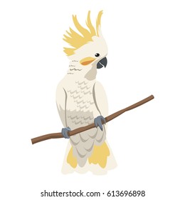 cockatoo bird icon