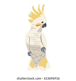 cockatoo bird icon