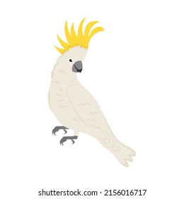 cockatoo bird icon on white background