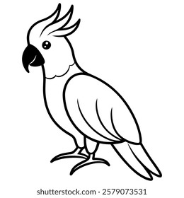 cockatoo bird line art vector on white background 