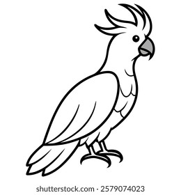 cockatoo bird line art vector on white background