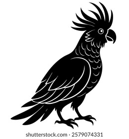 cockatoo bird Silhouette vector on whitebackground